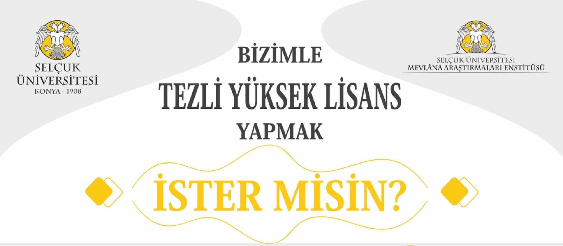 yüksek lisans